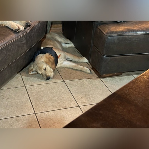 ‼️Same Day Shipper‼️ - Picture 3 of 7